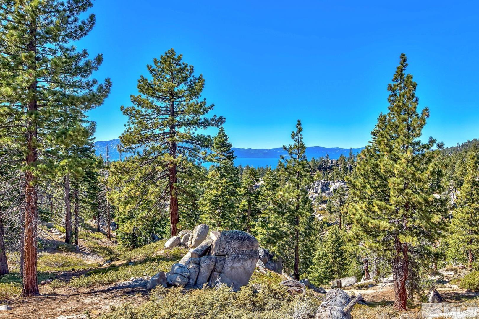 256 North Benjamin Drive Stateline, NV 89449 - Photo 29 of 36 a view of a tree with a yard
