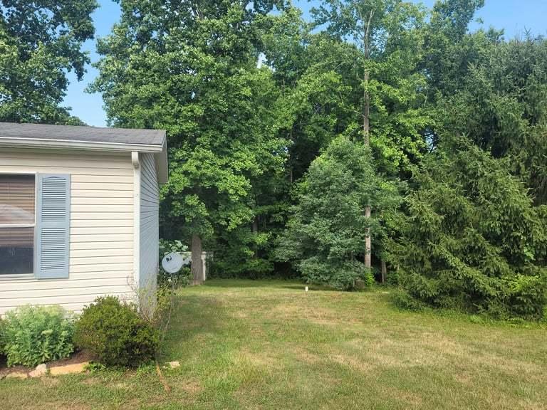 140 Hollyfield Road Rocky Mount, VA 24151 - Photo 11 of 14 Side Yard