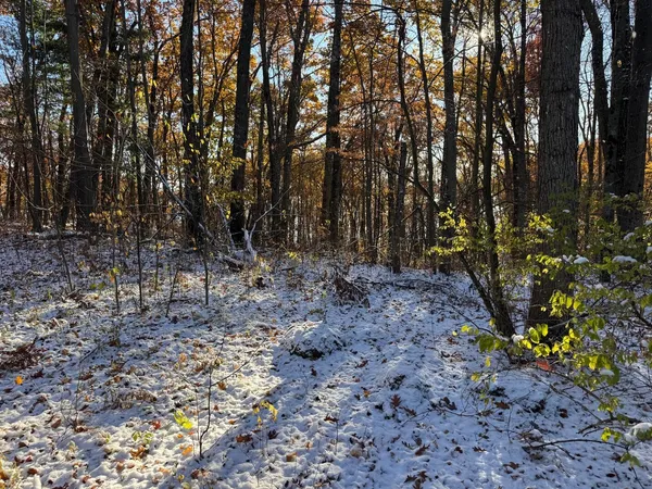 $230,000 | 2512 Sportsman Drive, White Cloud, MI 49349