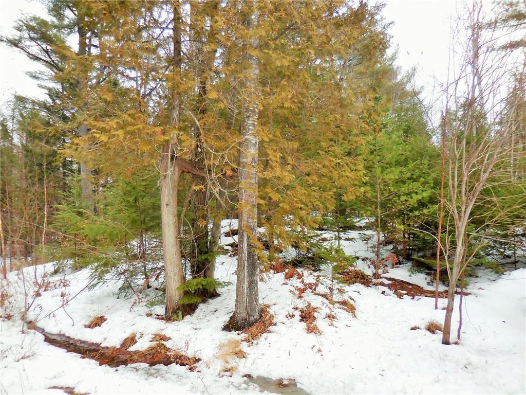 1466 Stage Road Etna, ME 04434 - Photo 25 of 29 Photo