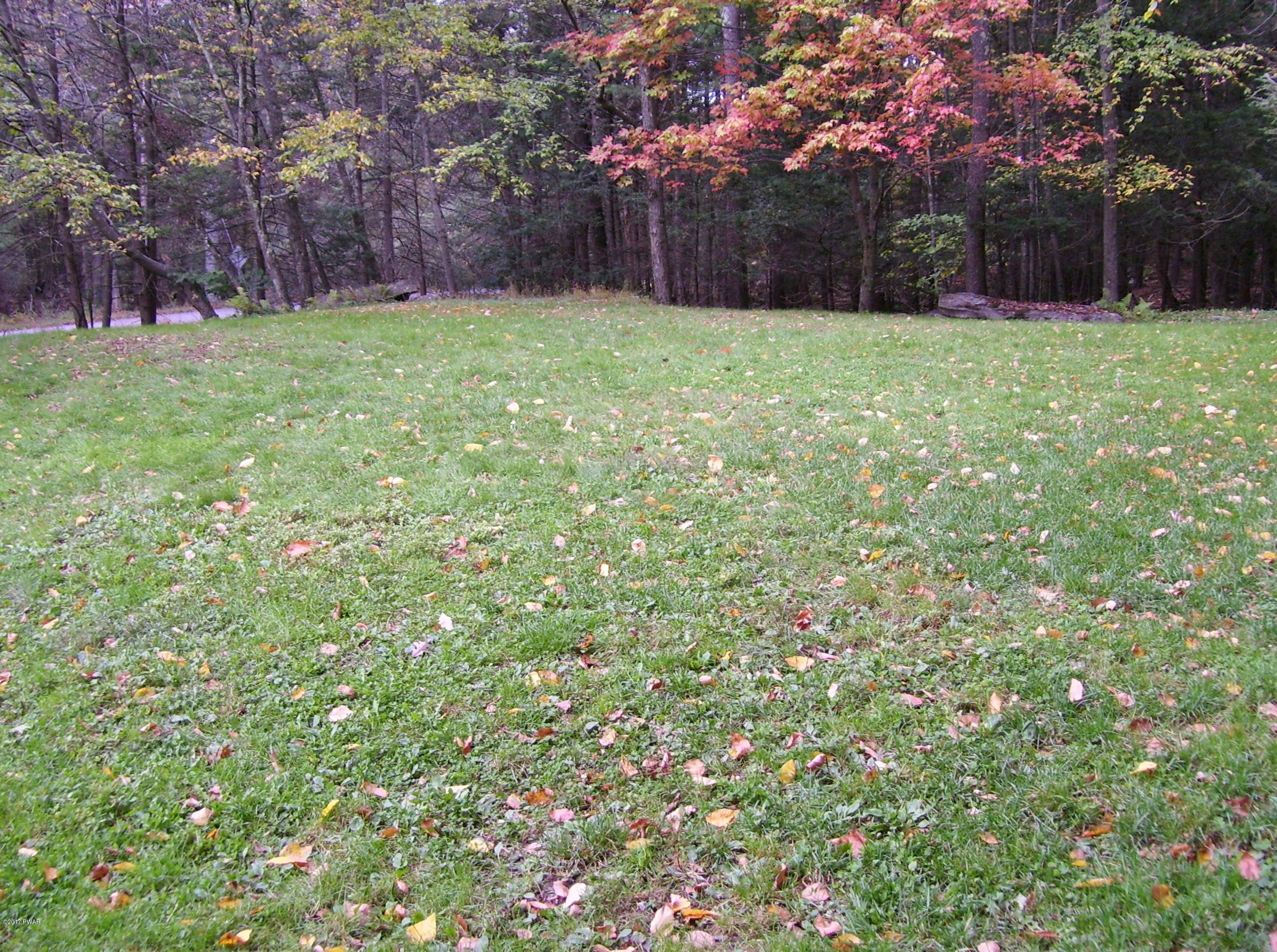 249 Gumbletown Road Tafton, PA 18464 - Photo 53 of 53 Side Yard
