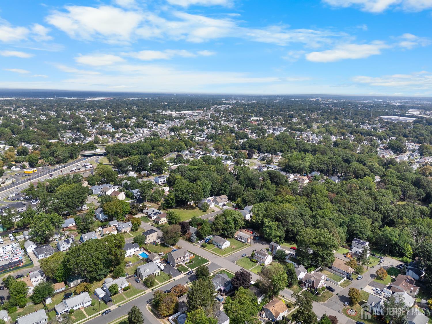116 Player Avenue Edison, NJ 08817 - Photo 36 of 40 an aerial view of multiple house
