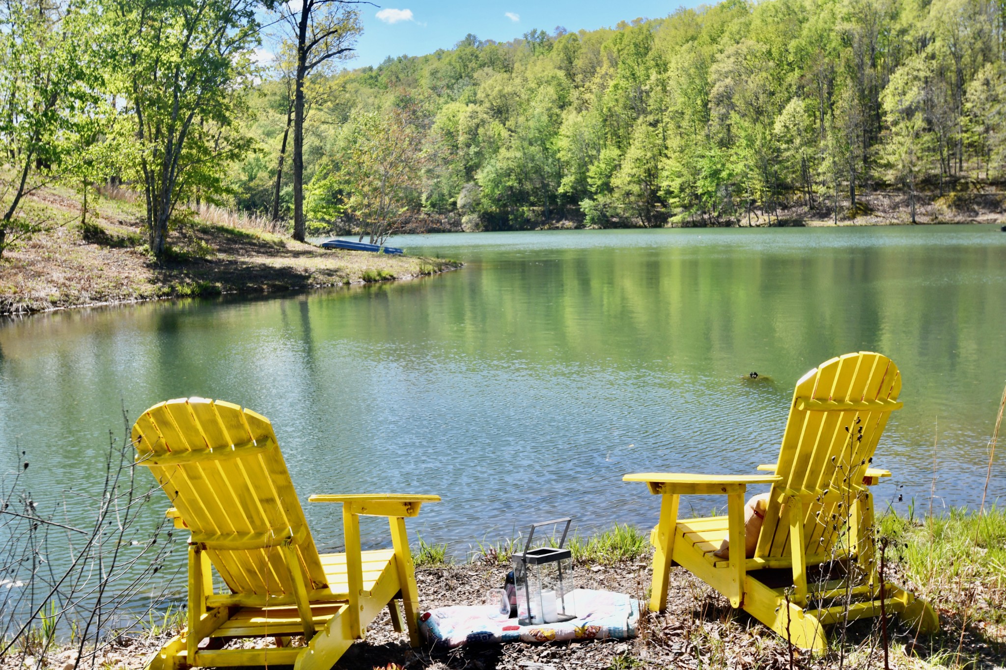 0 Hunt Hollow Road Lawrenceburg, TN 38464 - Photo 1 of 27 Gallery Image 1