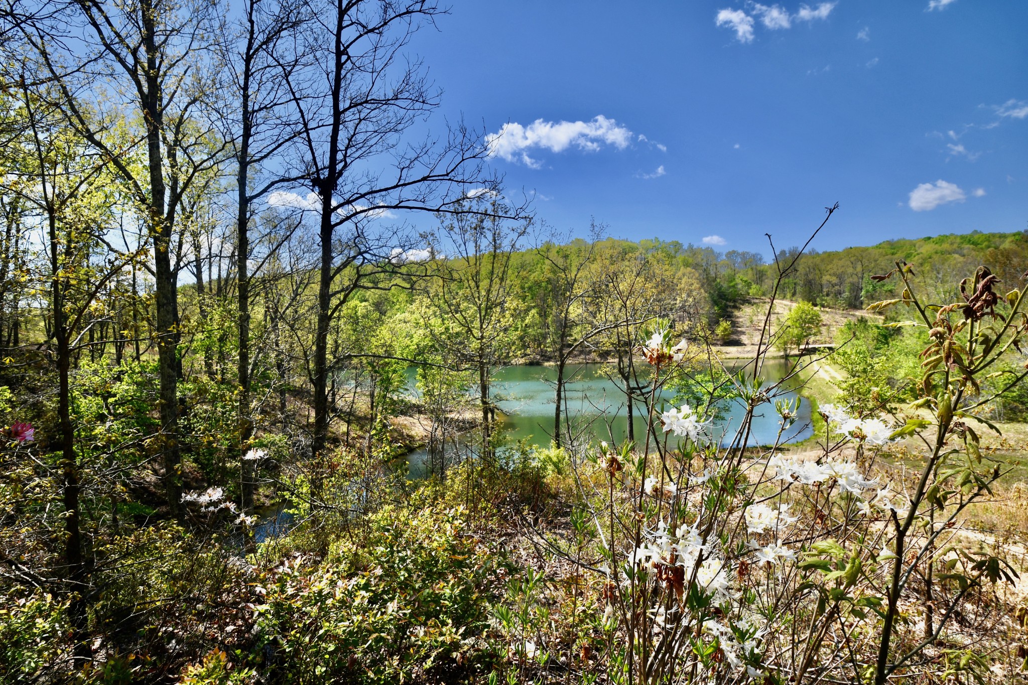 0 Hunt Hollow Road Lawrenceburg, TN 38464 - Photo 2 of 27 Gallery Image 2
