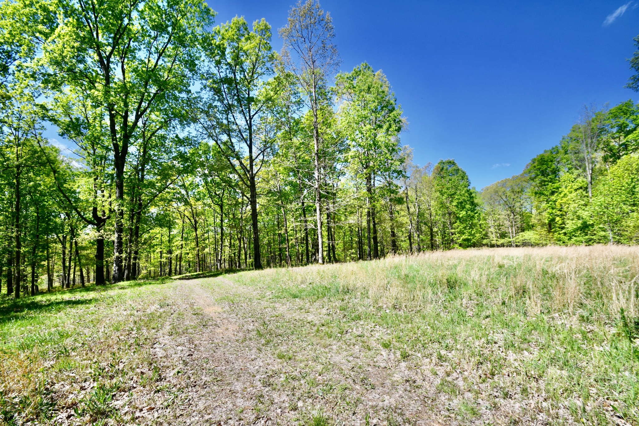 0 Hunt Hollow Road Lawrenceburg, TN 38464 - Photo 13 of 27 Gallery Image 13