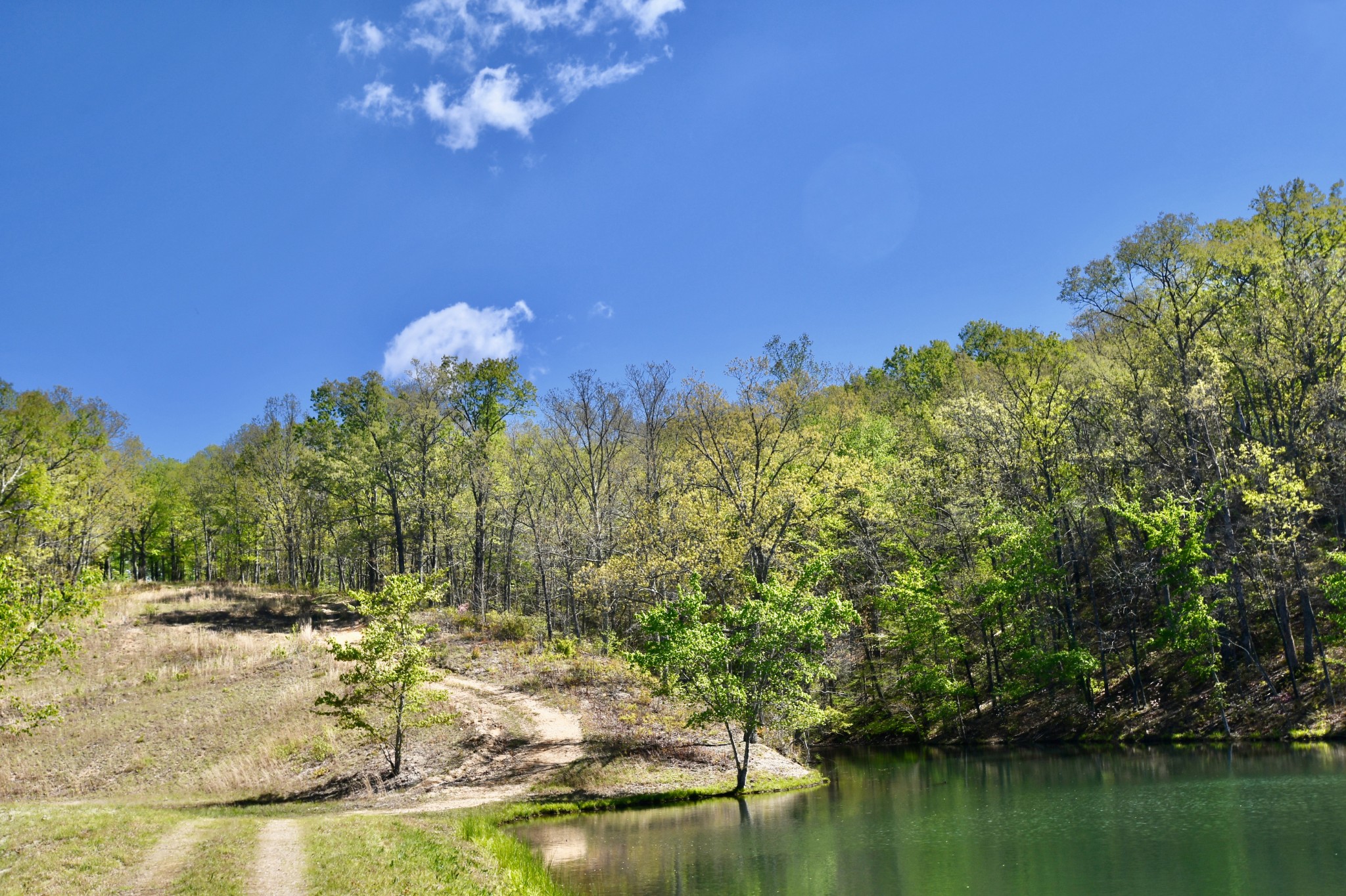 0 Hunt Hollow Road Lawrenceburg, TN 38464 - Photo 15 of 27 Gallery Image 15