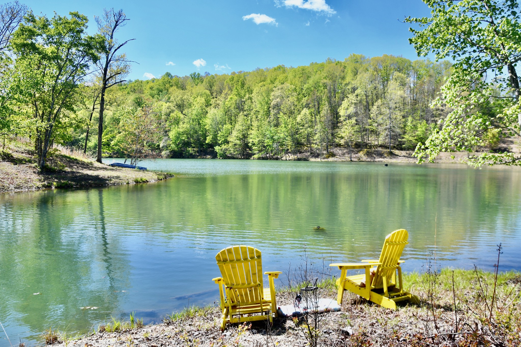 0 Hunt Hollow Road Lawrenceburg, TN 38464 - Photo 16 of 27 Gallery Image 16