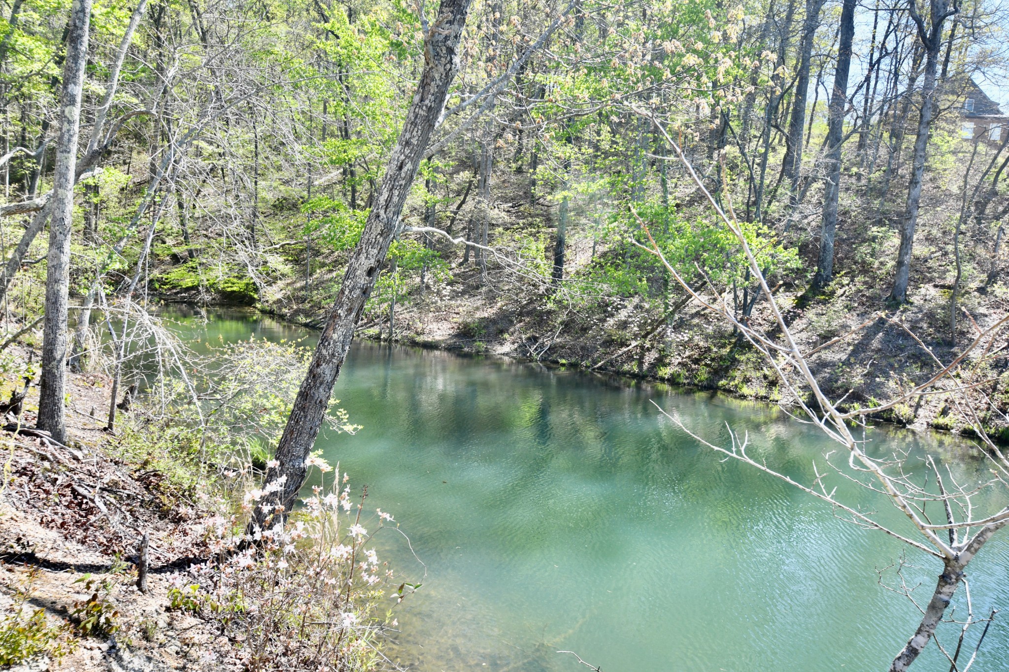 0 Hunt Hollow Road Lawrenceburg, TN 38464 - Photo 3 of 27 Gallery Image 3