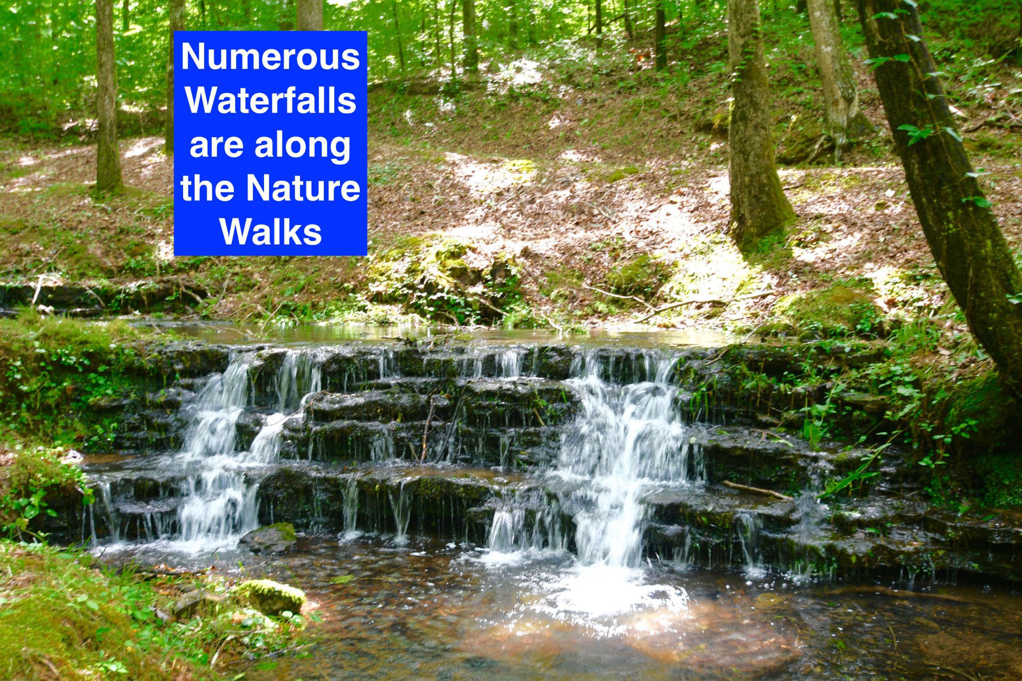 0 Hunt Hollow Road Lawrenceburg, TN 38464 - Photo 23 of 27 Gallery Image 23