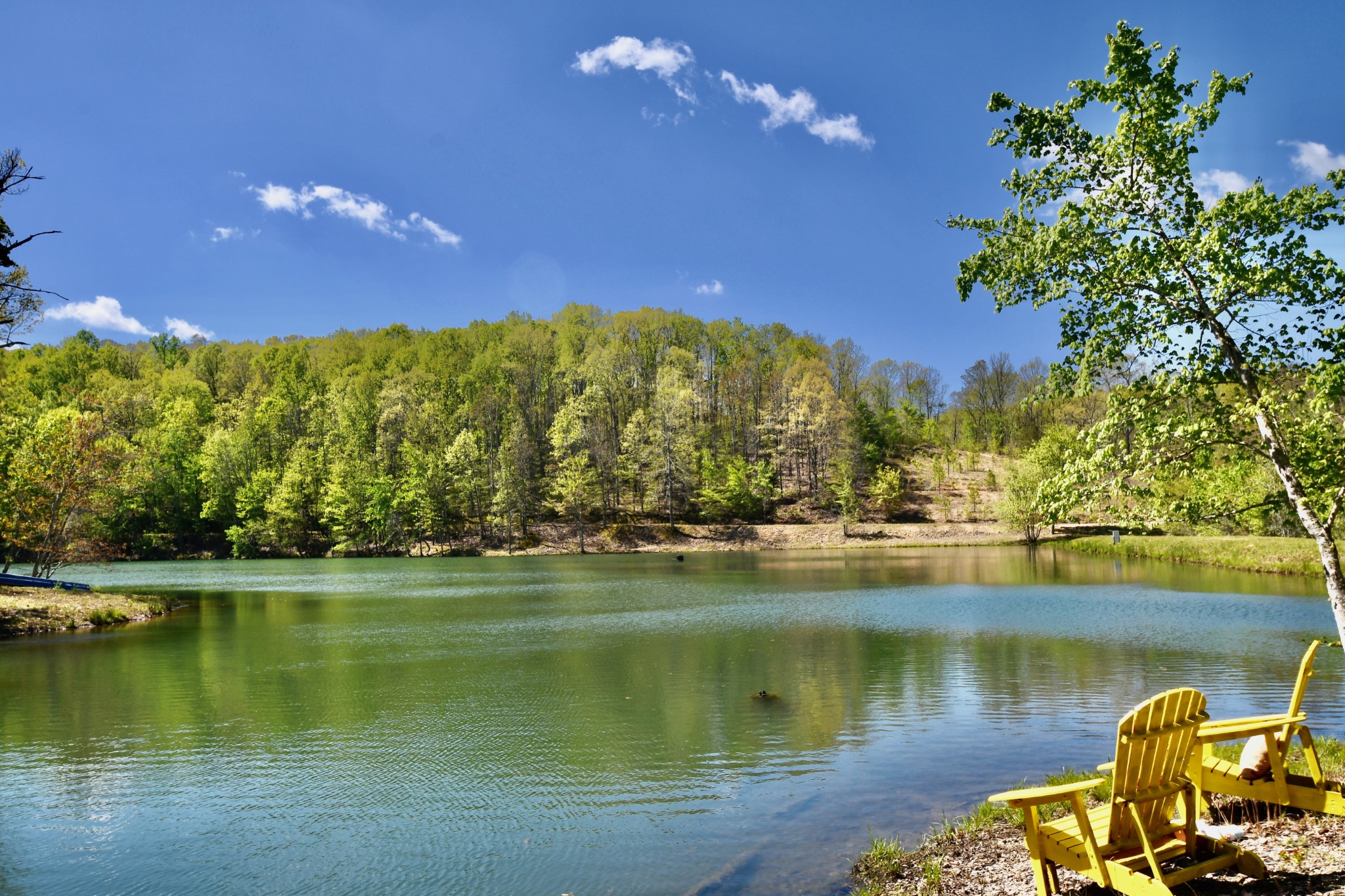 0 Hunt Hollow Road Lawrenceburg, TN 38464 - Photo 4 of 27 Gallery Image 4