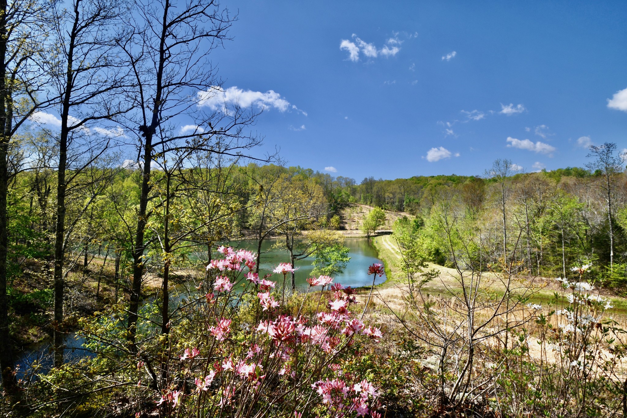 0 Hunt Hollow Road Lawrenceburg, TN 38464 - Photo 5 of 27 Gallery Image 5