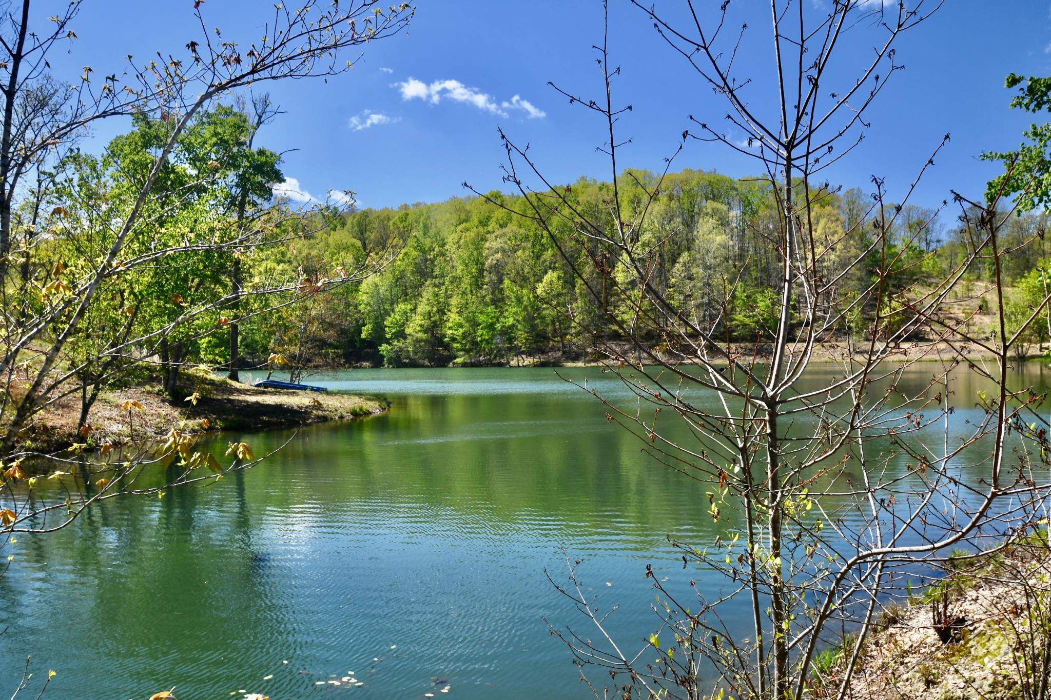 0 Hunt Hollow Road Lawrenceburg, TN 38464 - Photo 6 of 27 Gallery Image 6