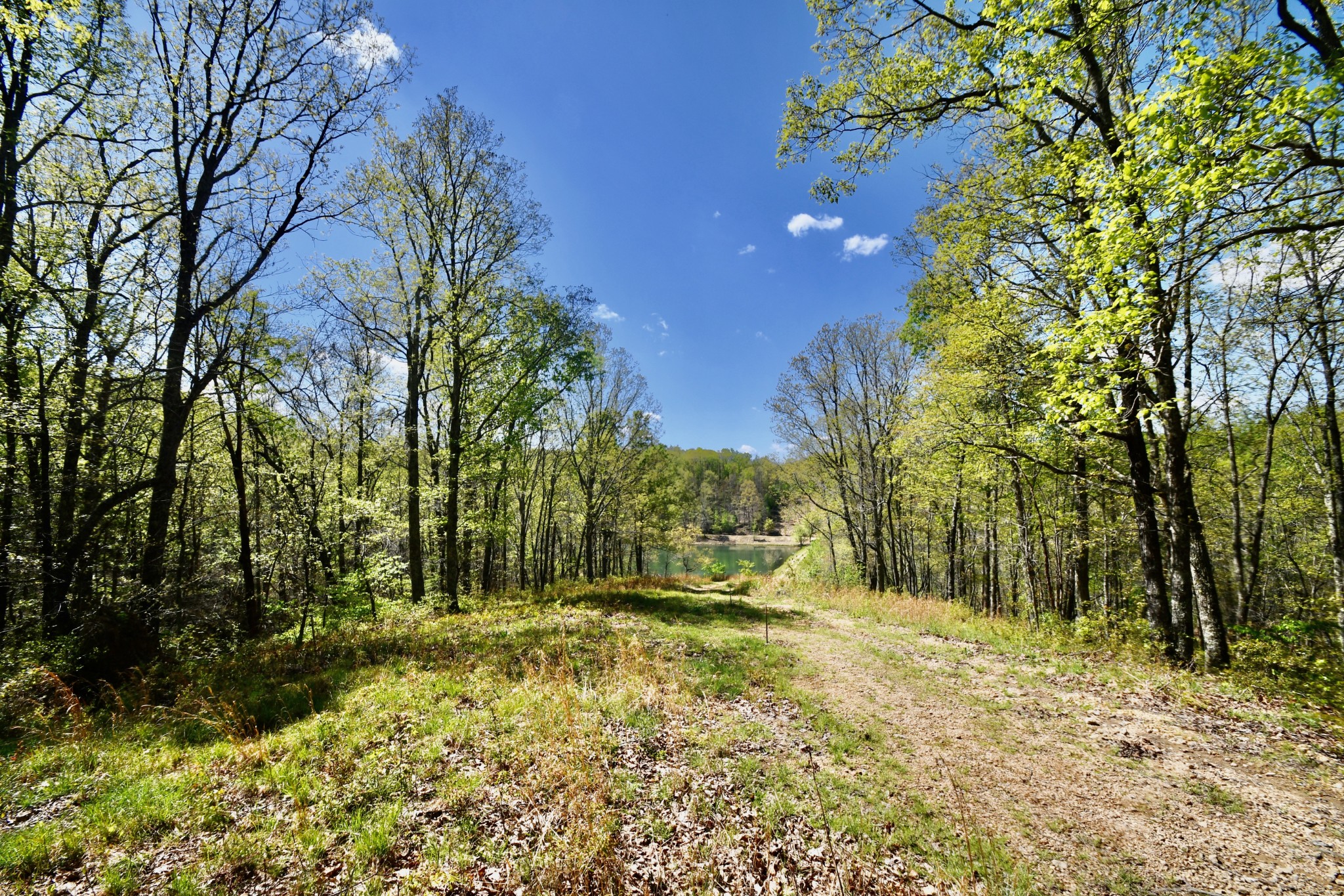 0 Hunt Hollow Road Lawrenceburg, TN 38464 - Photo 7 of 27 Gallery Image 7