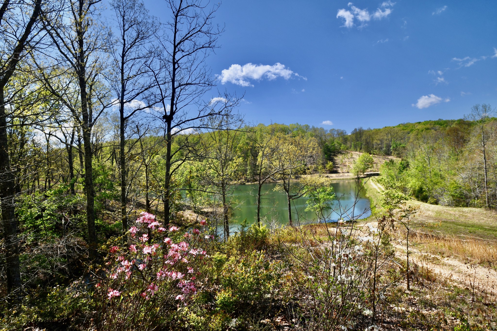 0 Hunt Hollow Road Lawrenceburg, TN 38464 - Photo 8 of 27 Gallery Image 8