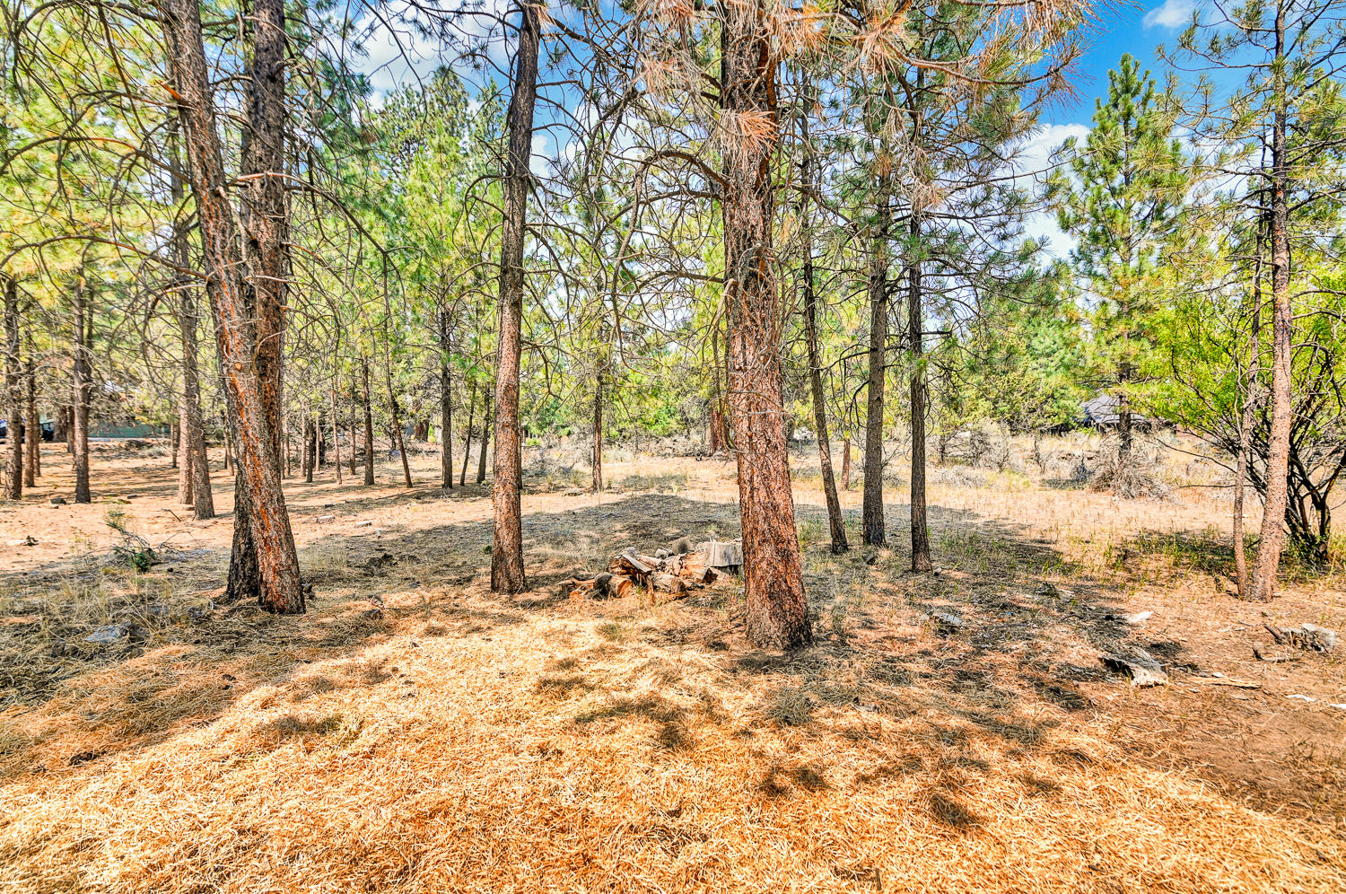 20280 Rae Road Bend, OR 97702 - Photo 13 of 16 20820 Rae Rd-13
