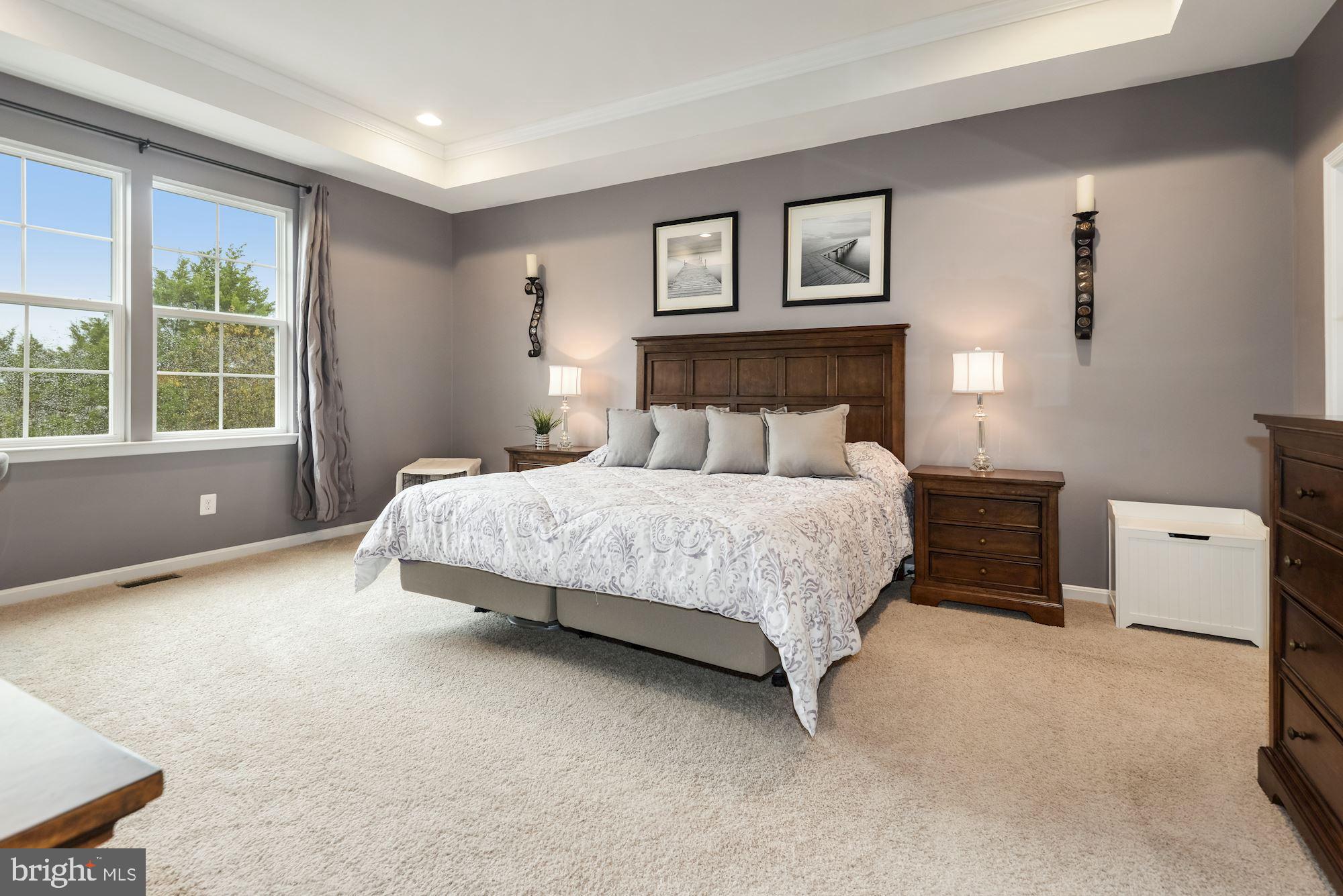 23524 Epperson Square Brambleton, VA 20148 - Photo 16 of 36 Owner's Suite with Tray Ceiling