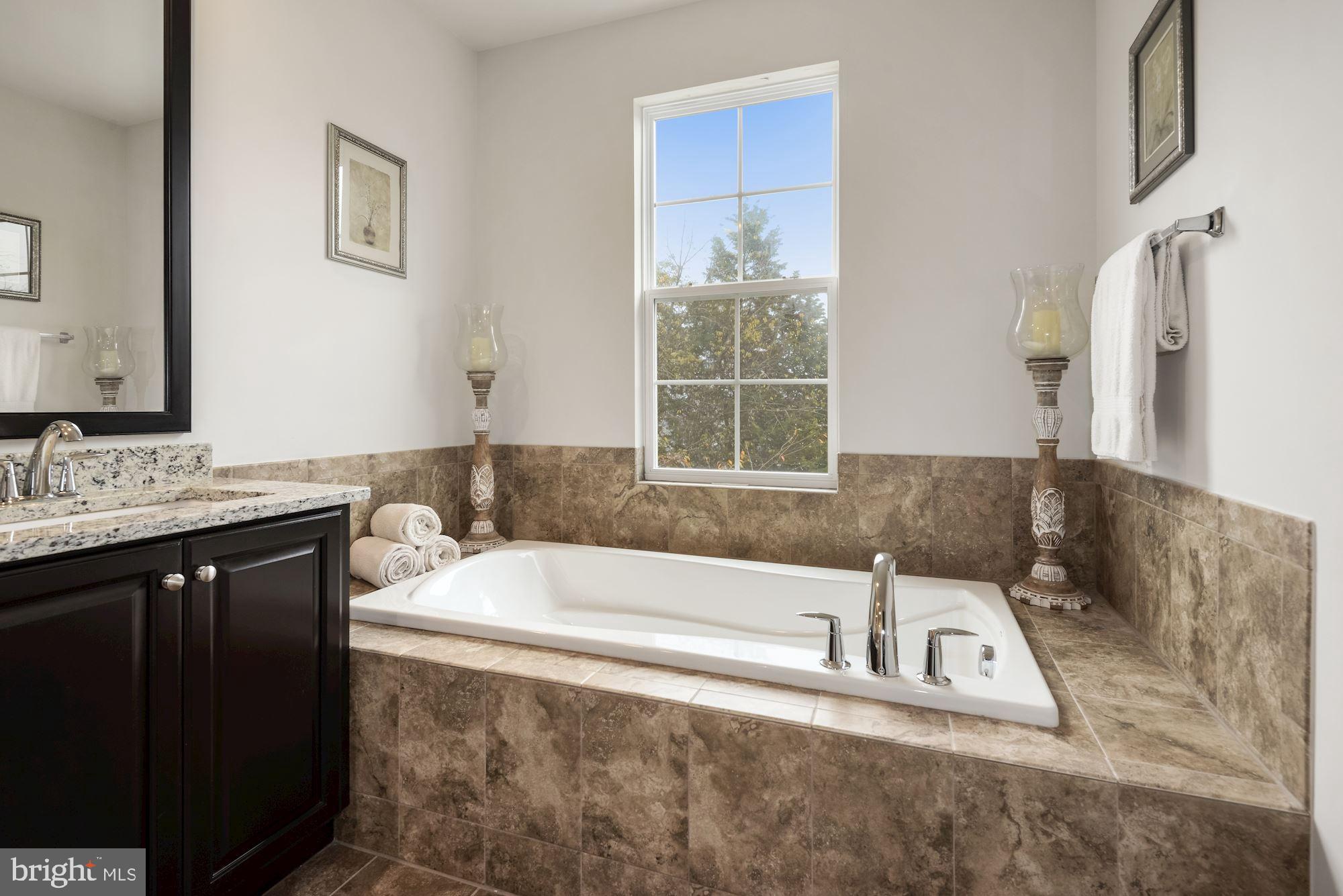 23524 Epperson Square Brambleton, VA 20148 - Photo 20 of 36 Owner's Bath with Oversized Soaking Tub