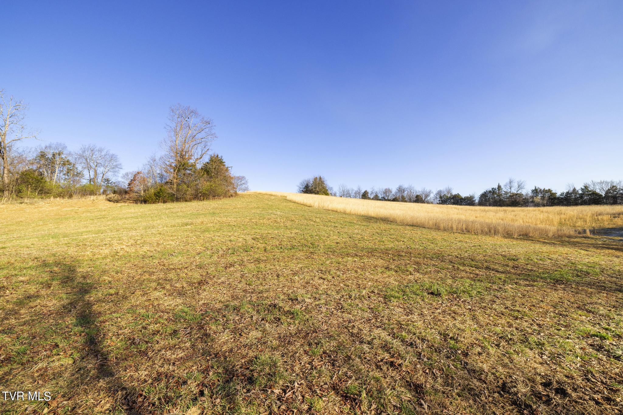 Lot 1 Woodfield Road Greeneville, TN 37743 - Photo 11 of 23 Ground view