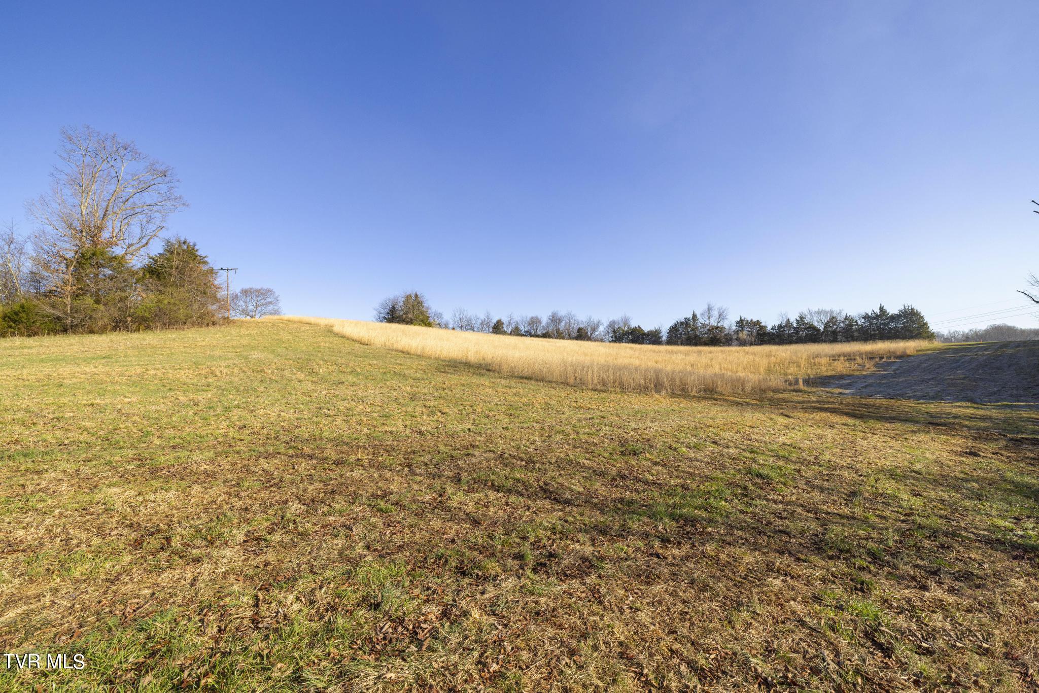 Lot 1 Woodfield Road Greeneville, TN 37743 - Photo 12 of 23 Ground view