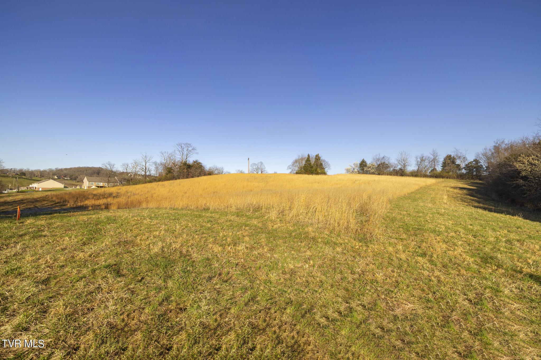 Lot 1 Woodfield Road Greeneville, TN 37743 - Photo 13 of 23 Ground view