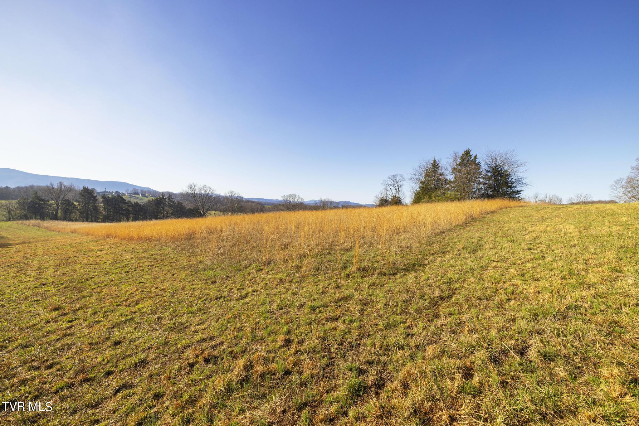Lot 1 Woodfield Road Greeneville, TN 37743 - Photo 14 of 23 View from lot