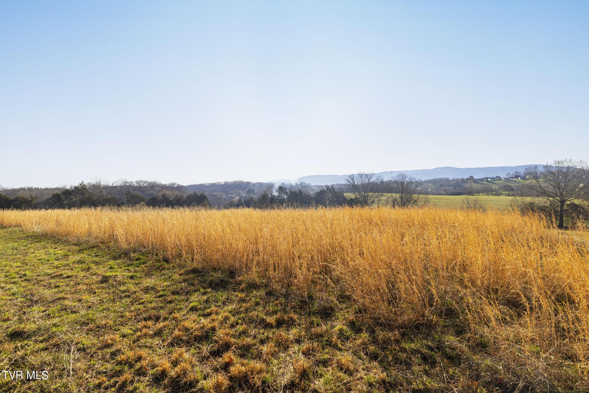 Lot 1 Woodfield Road Greeneville, TN 37743 - Photo 15 of 23 View from lot