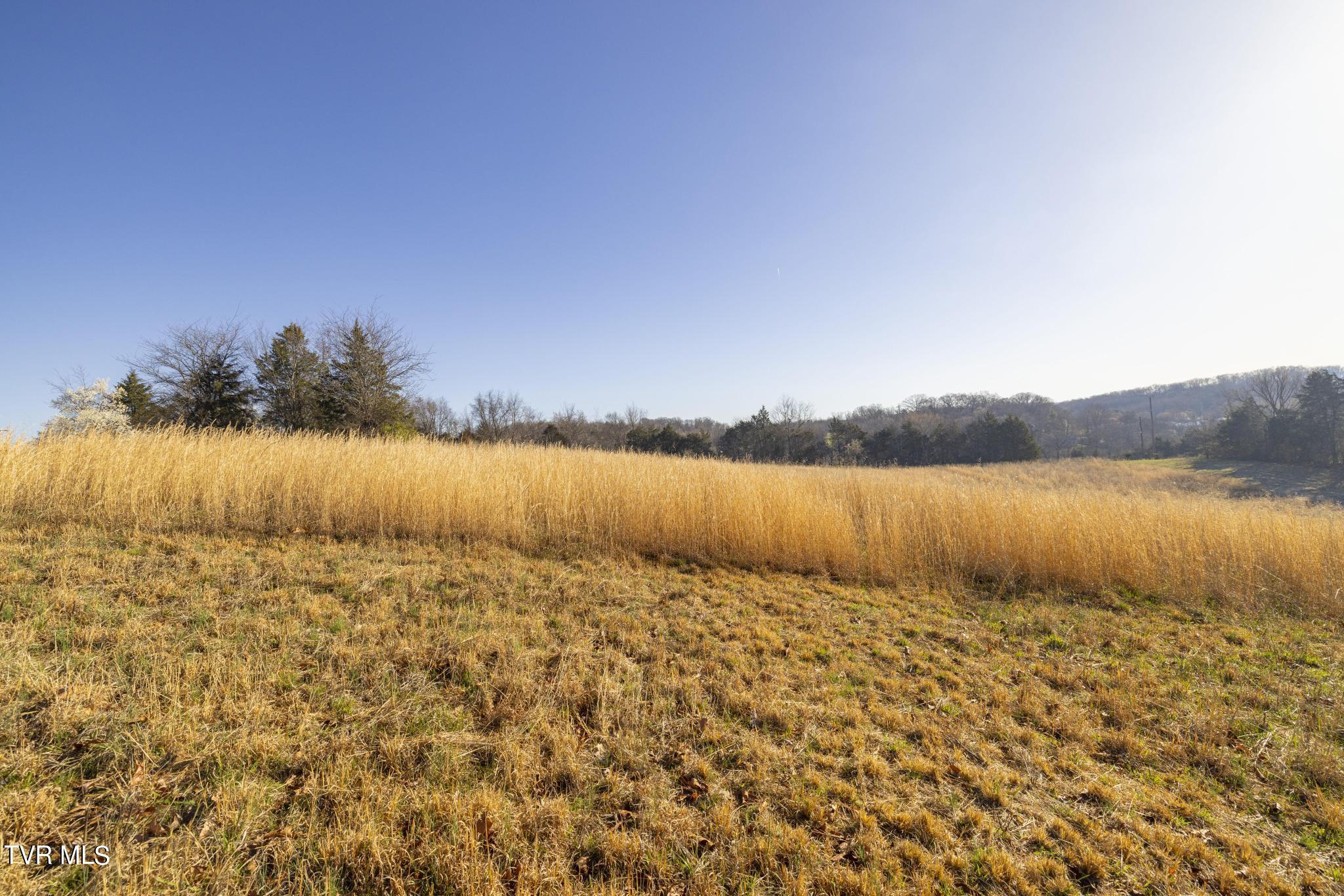 Lot 1 Woodfield Road Greeneville, TN 37743 - Photo 16 of 23 View from lot