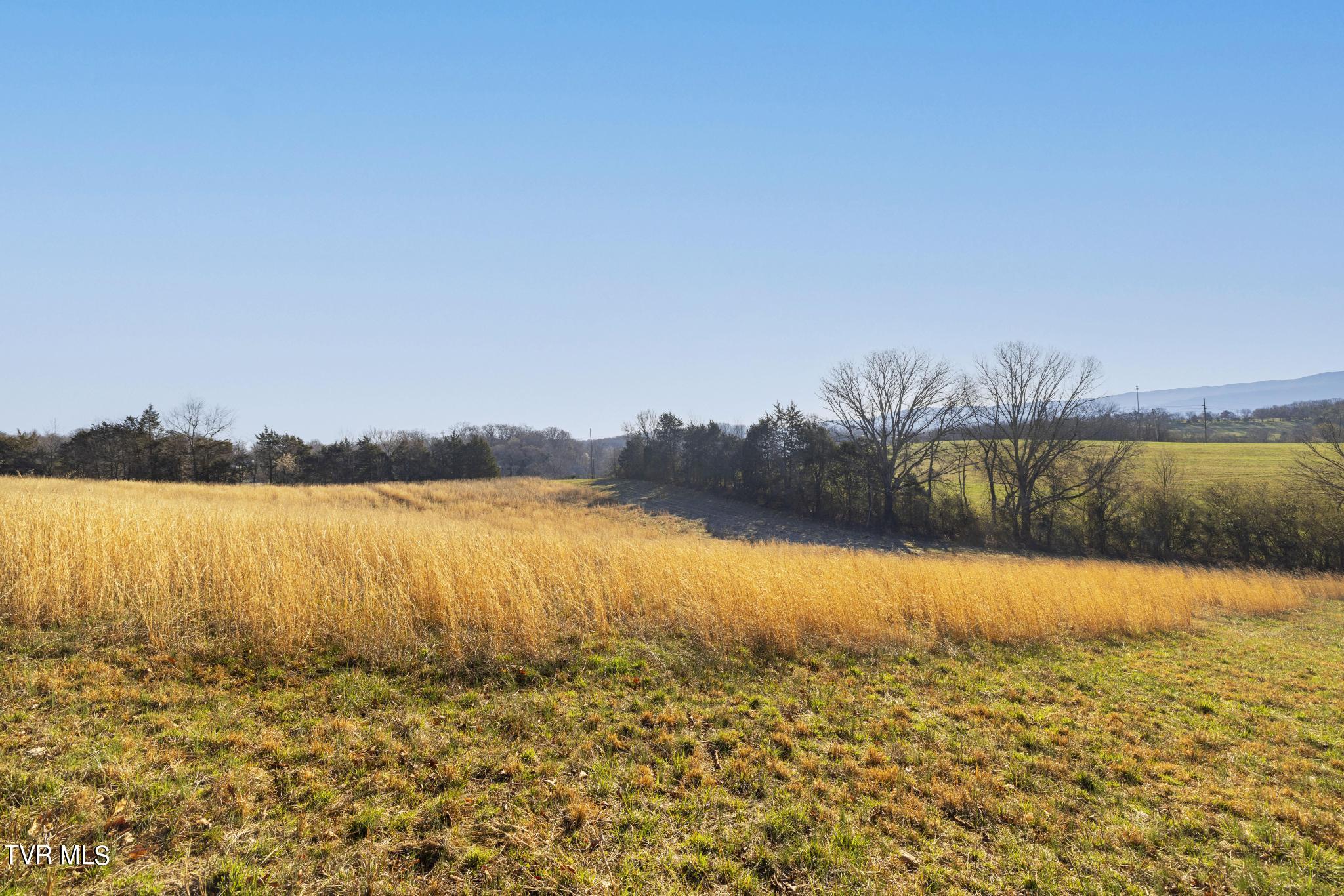 Lot 1 Woodfield Road Greeneville, TN 37743 - Photo 17 of 23 View from lot