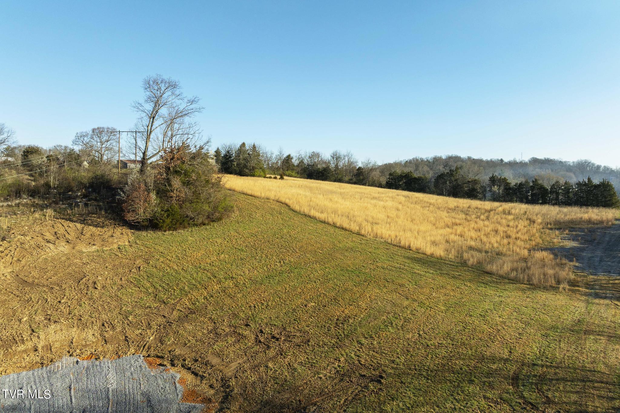 Lot 1 Woodfield Road Greeneville, TN 37743 - Photo 8 of 23 Lot with mountain views