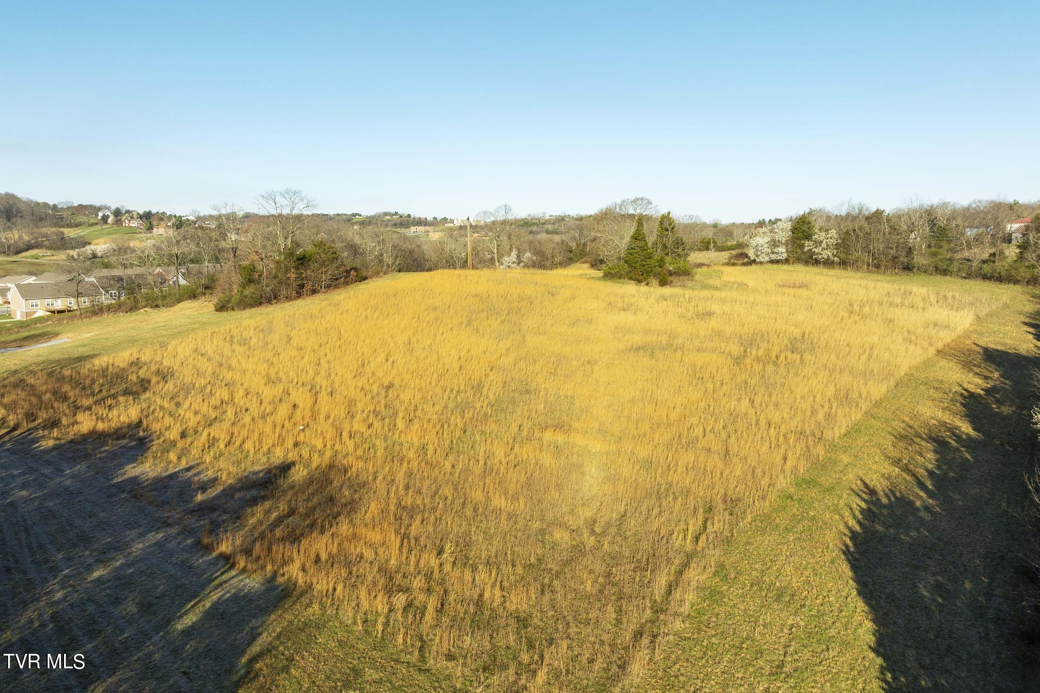 Lot 1 Woodfield Road Greeneville, TN 37743 - Photo 9 of 23 Ground view