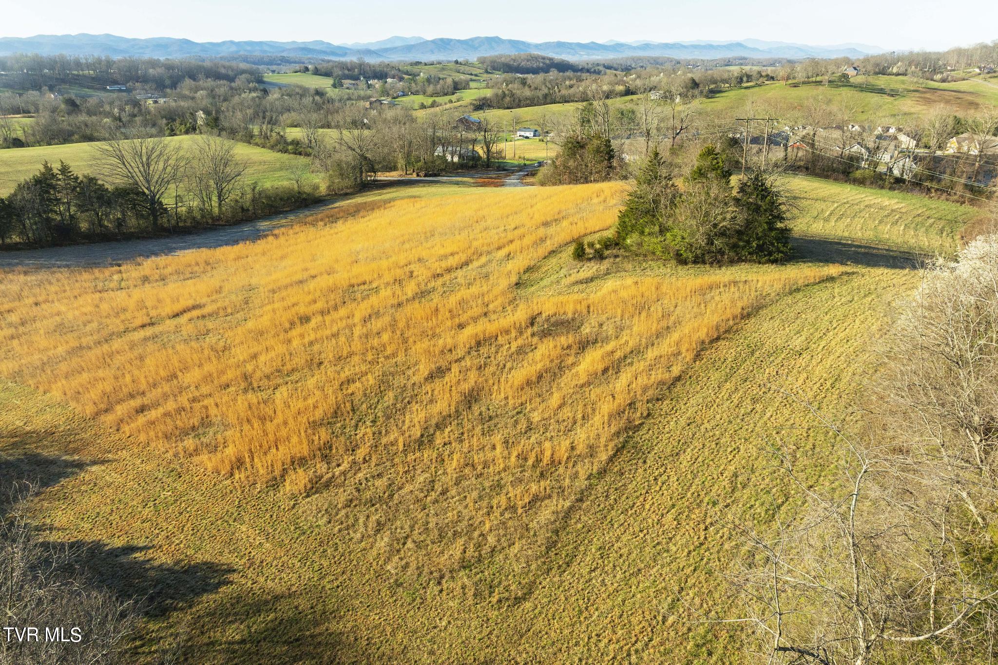 Lot 1 Woodfield Road Greeneville, TN 37743 - Photo 10 of 23 Mountain views from lot