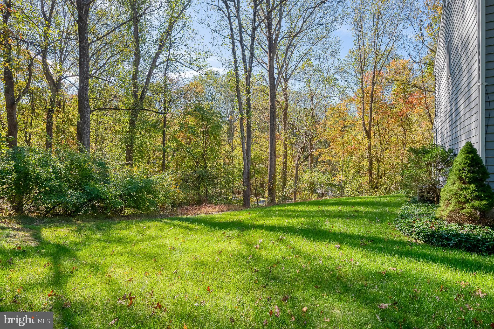 26 Constantine Drive Phoenix, MD 21131 - Photo 13 of 53 BEAUTIFUL PRIVATE SETTING