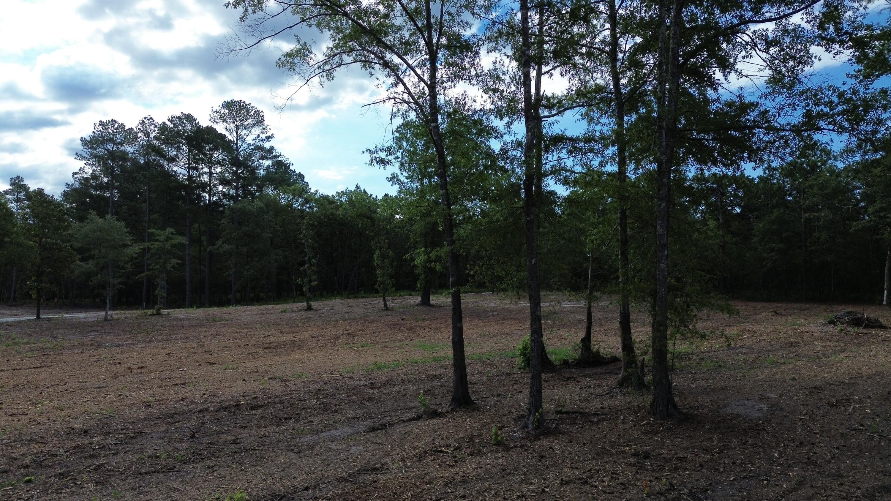 2 Trojan Road Cross, SC 29436 - Photo 11 of 17
