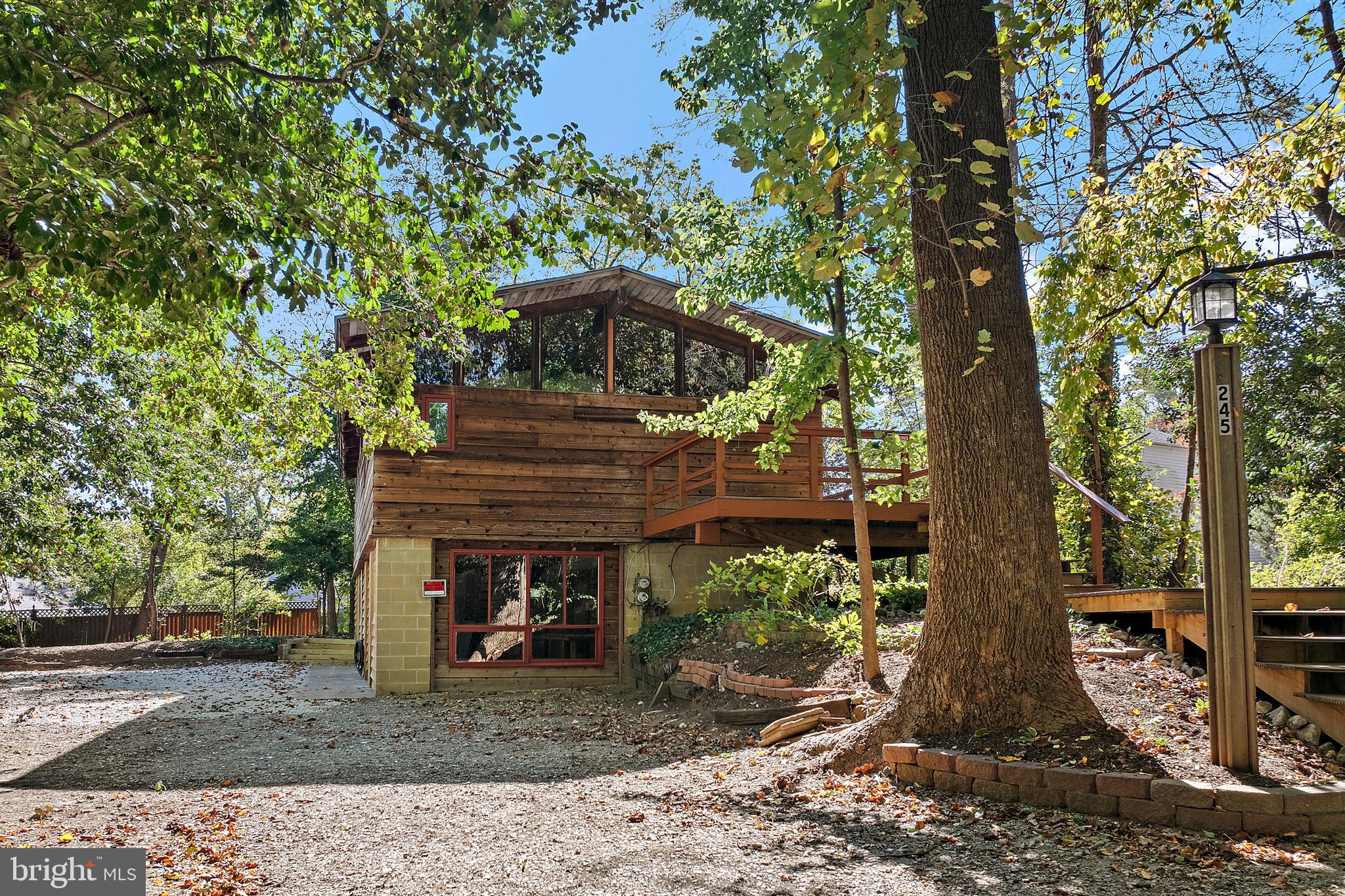 245 Haverton Road Arnold, MD 21012 - Photo 16 of 53 a view of a house with backyard and trees