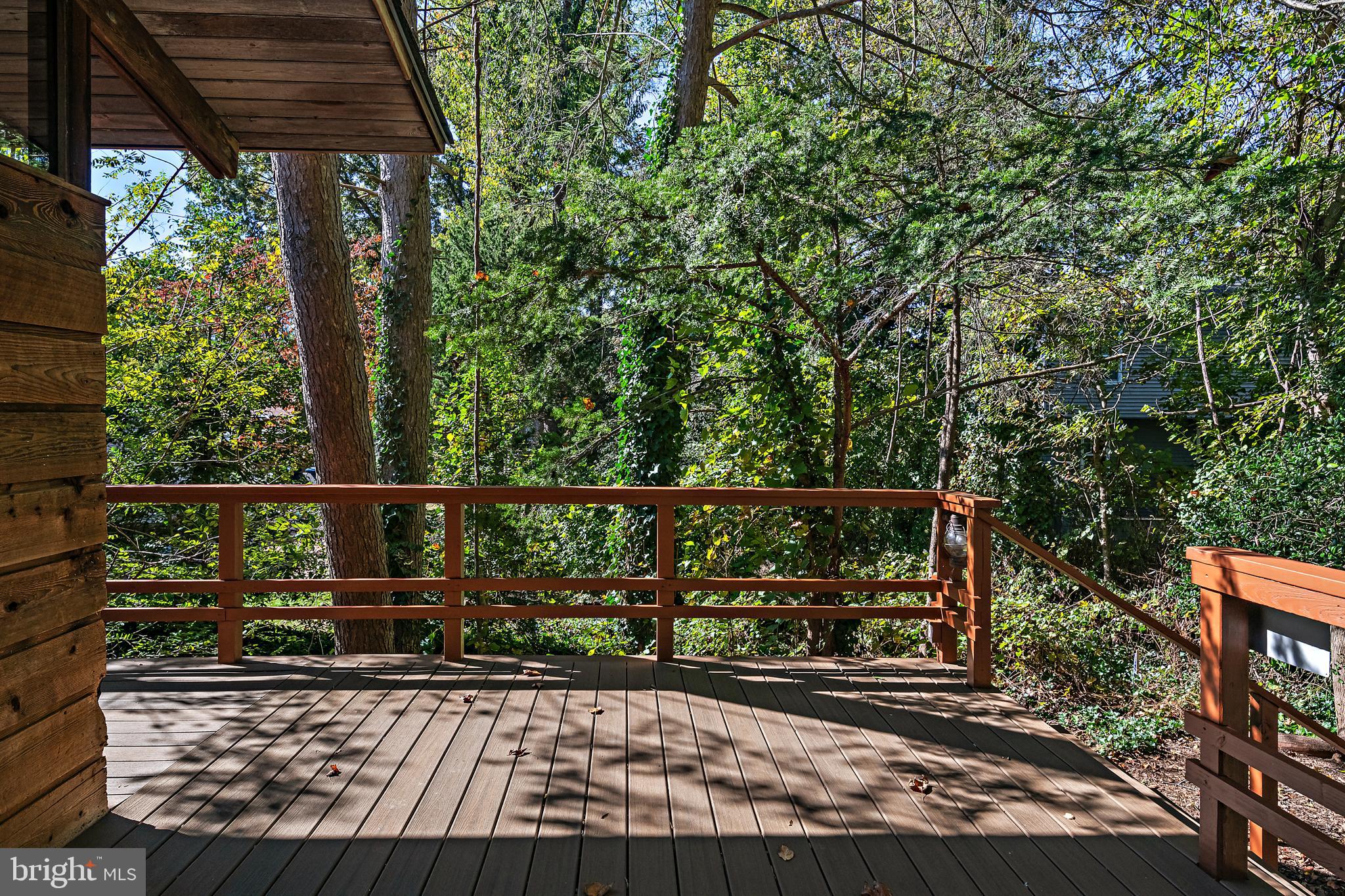 245 Haverton Road Arnold, MD 21012 - Photo 46 of 73