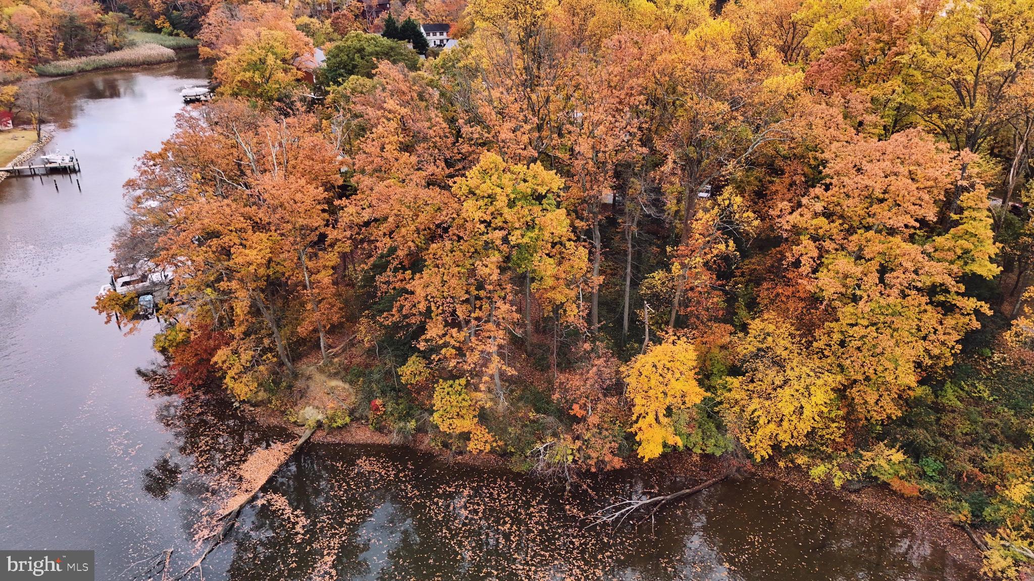 245 Haverton Road Arnold, MD 21012 - Photo 9 of 53