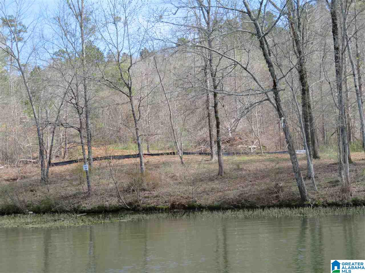 Lot 14 Eagle Point Trace, Unit 14 Alexander City, AL 35010 - Photo 1 of 13