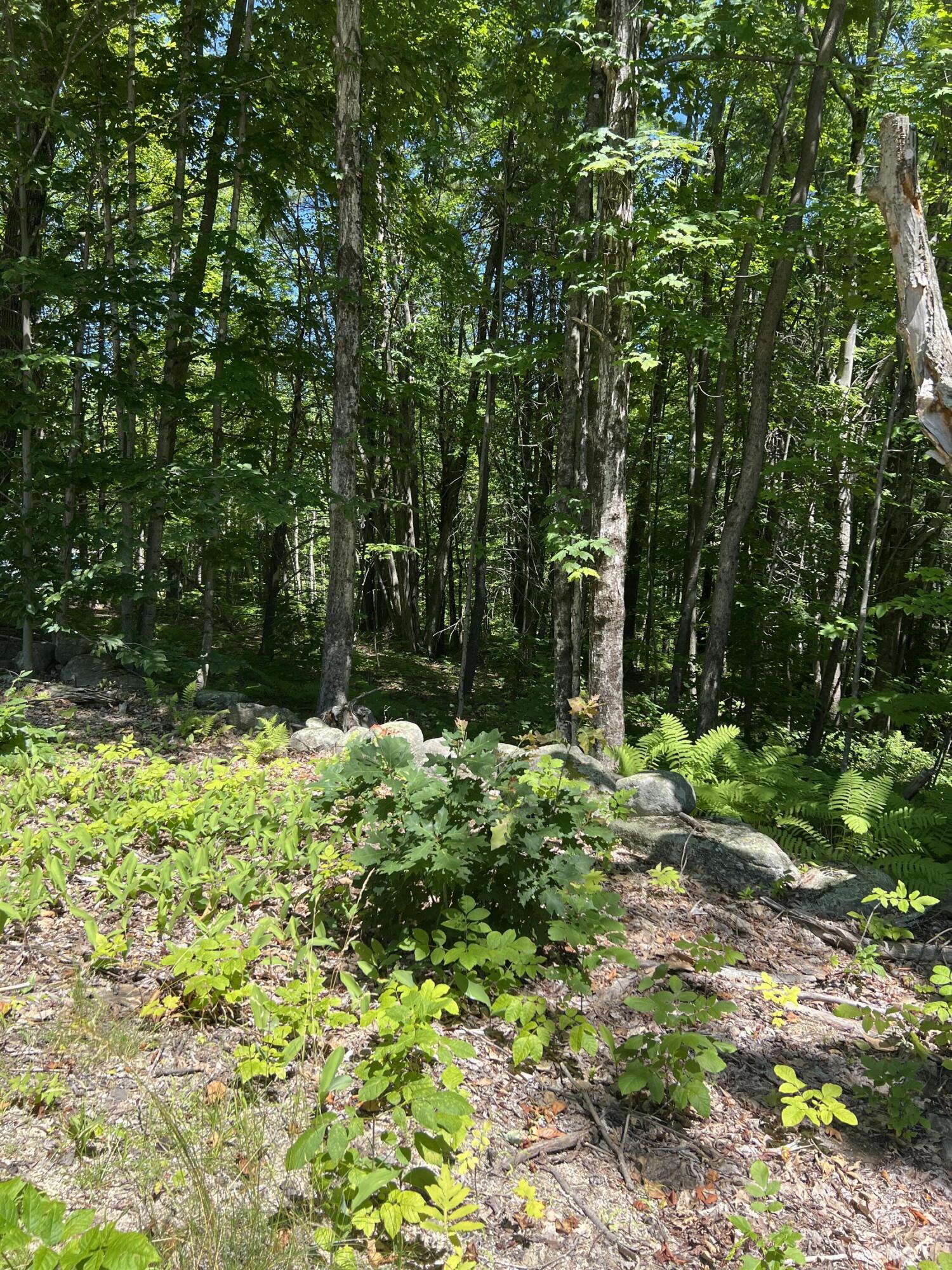 3 Fosterville Road Bridgton, ME 04009 - Photo 4 of 4 IMG_0429