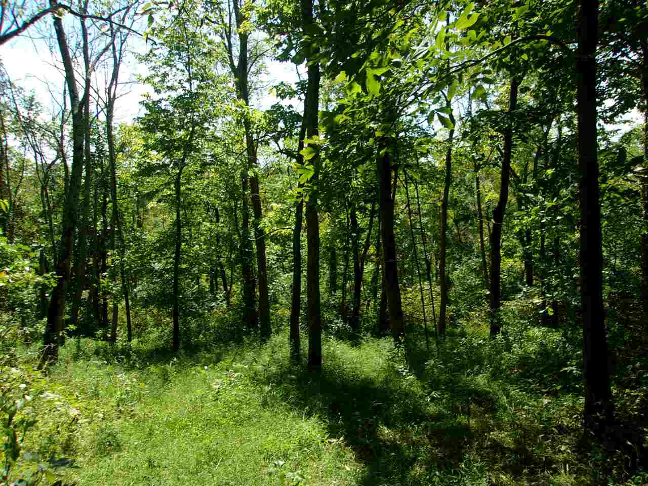 30-acres Dover Road Augusta, KY 41002 - Photo 23 of 50 Gallery Image 23
