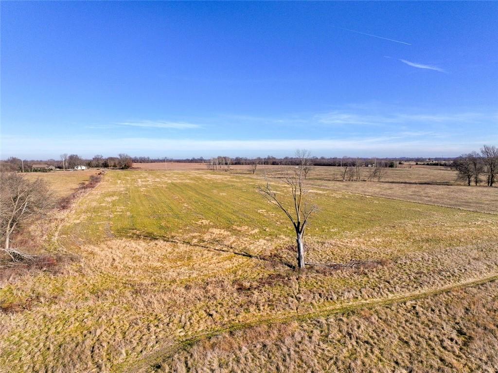 0 East Logan Road El Dorado Springs, MO 64744 - Photo 4 of 11