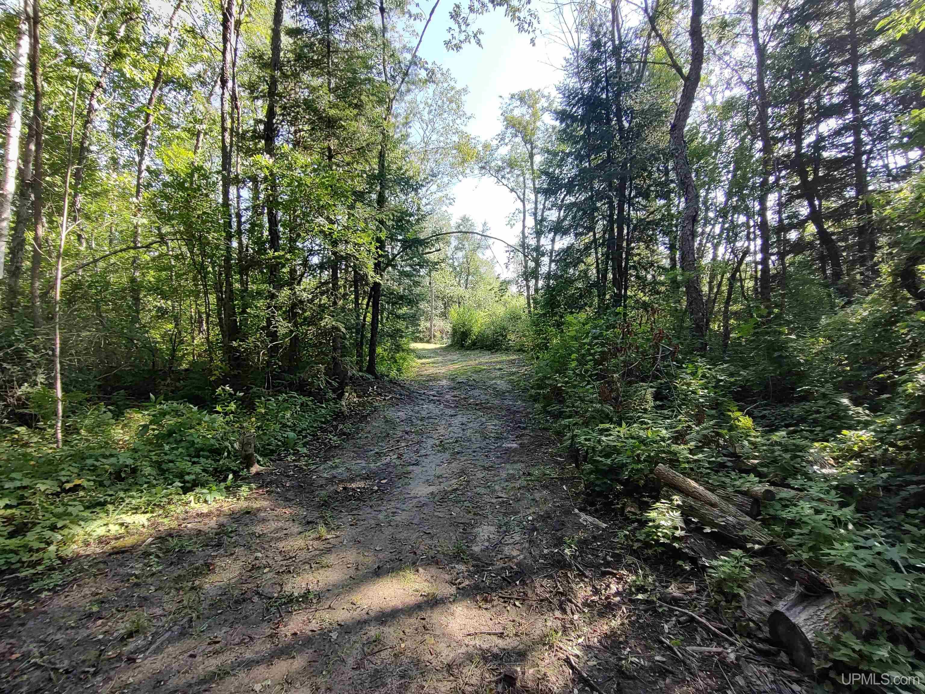387 Rd Mcmillan Mi 49853 Road Newberry, MI 49868 - Photo 52 of 78