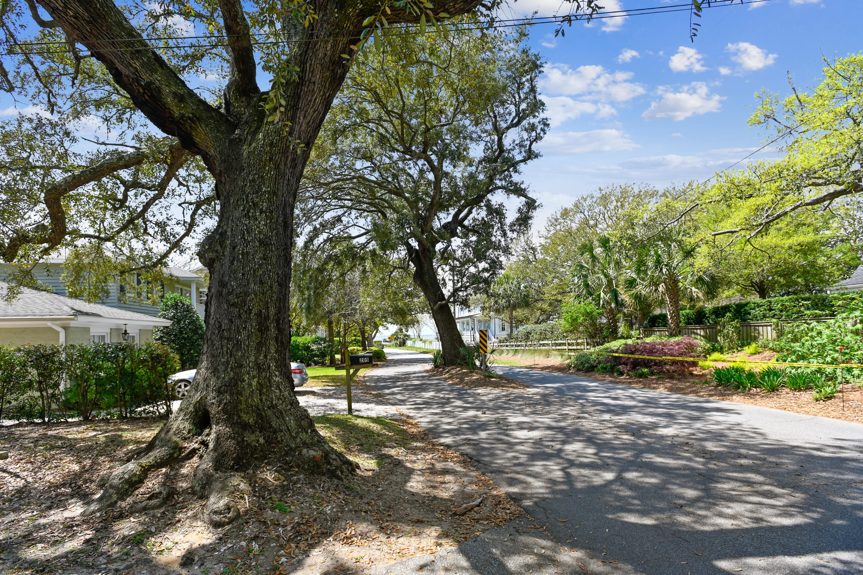 701 Pitt Street Mount Pleasant, SC 29464 - Photo 3 of 20 View down McCants