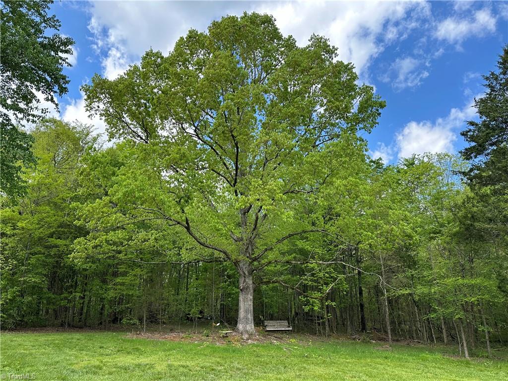 352 Shiptontown Road Lexington, NC 27292 - Photo 46 of 46 Gallery Image 46