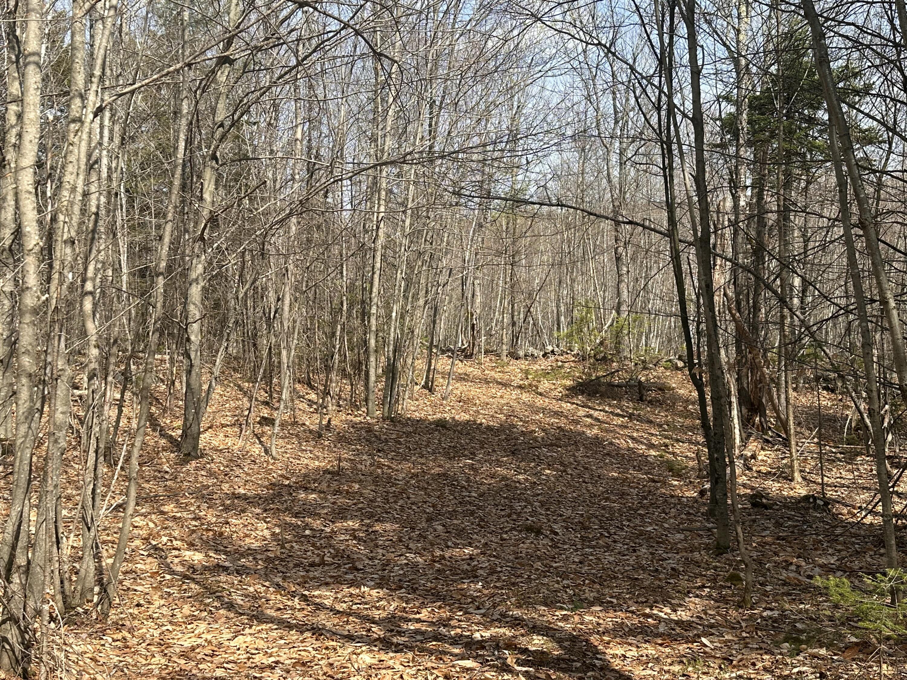 Lot 2 Filaroska Road New Sharon, ME 04955 - Photo 13 of 40 IMG_20260506_084152 (12)