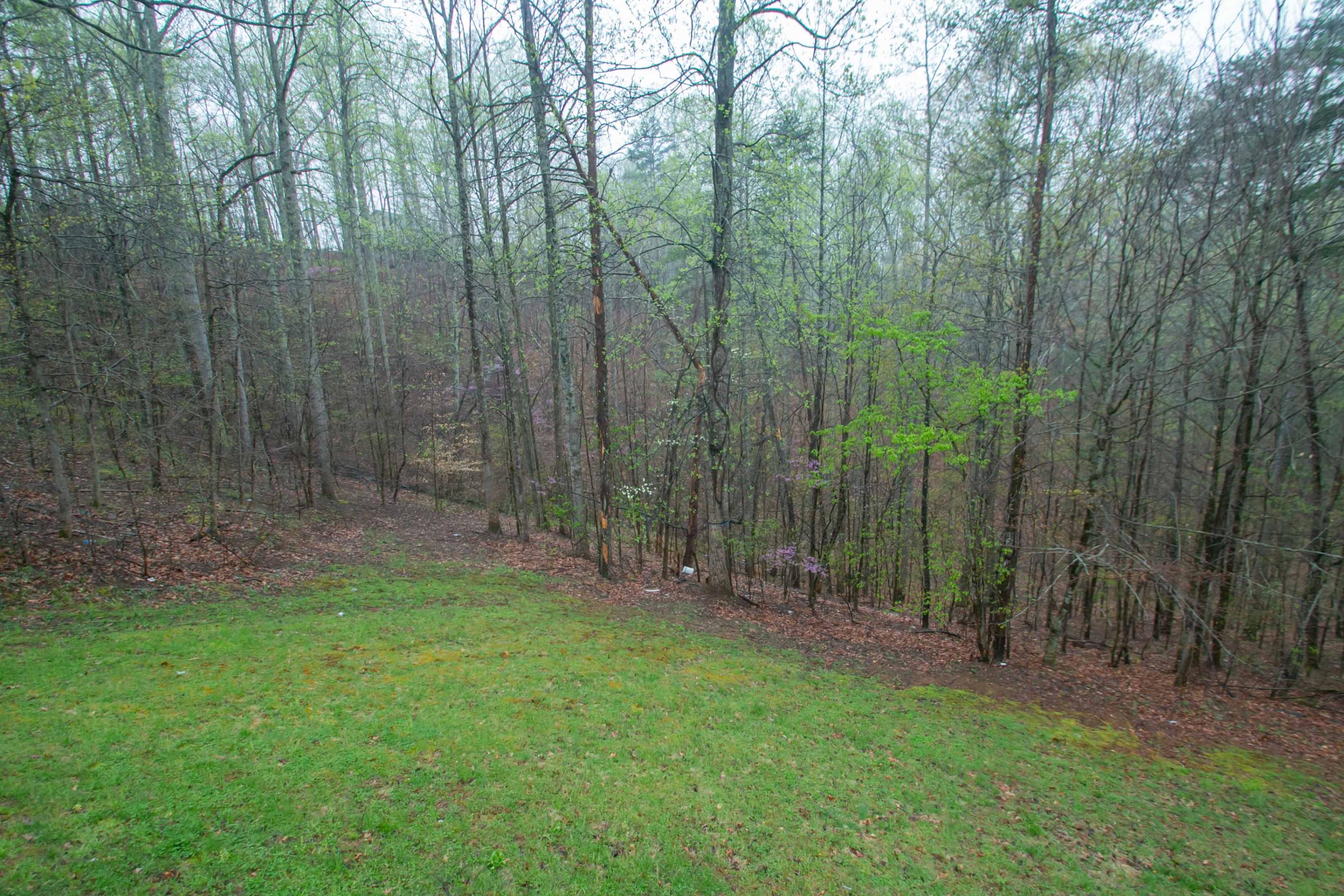 1037 Chandler Road Goodview, VA 24095 - Photo 3 of 21 a view of a yard with a trees and bushes