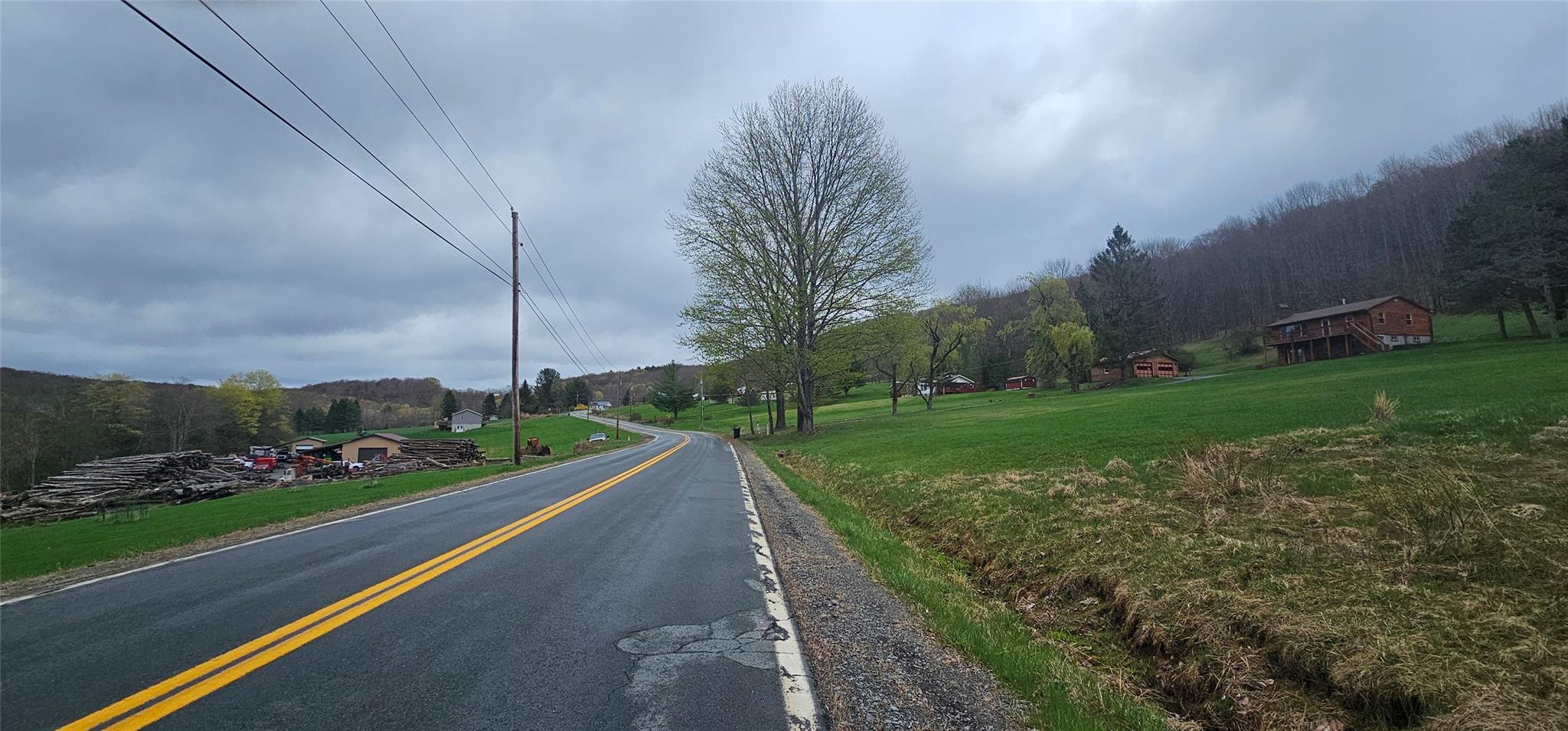 Lot 7.4 Hankins Road Fremont Center, NY 12736 - Photo 2 of 14 a view of a street with a big yard