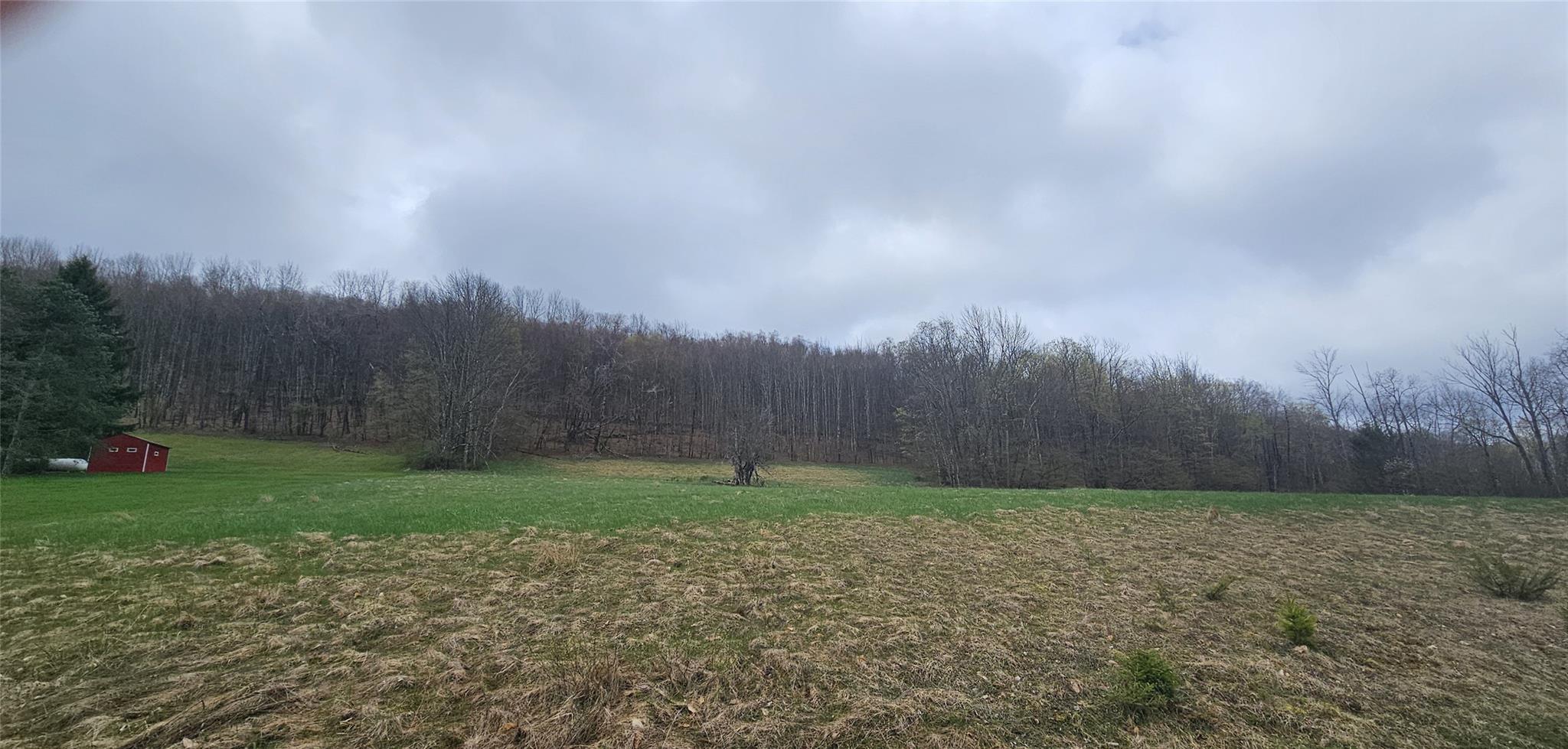 Lot 7.4 Hankins Road Fremont Center, NY 12736 - Photo 3 of 14 a view of a backyard