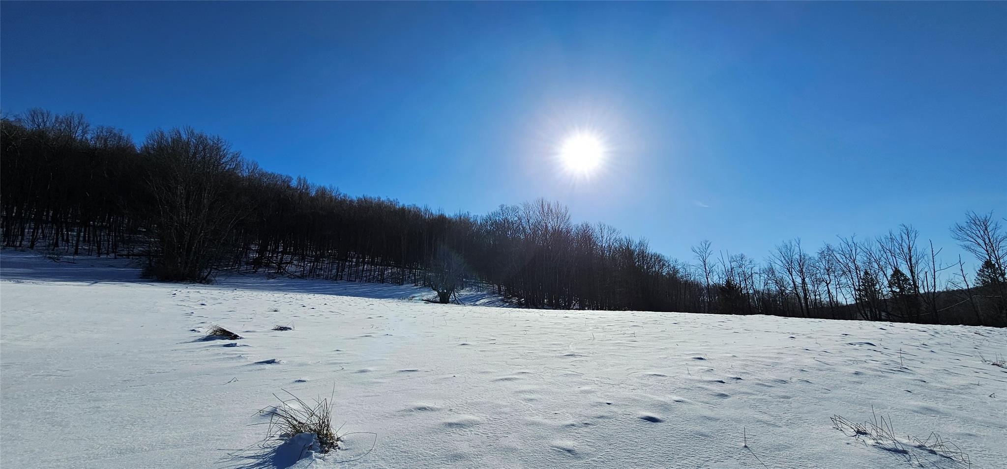 Lot 7.4 Hankins Road Fremont Center, NY 12736 - Photo 4 of 14 a view of snow covered with snow in the background