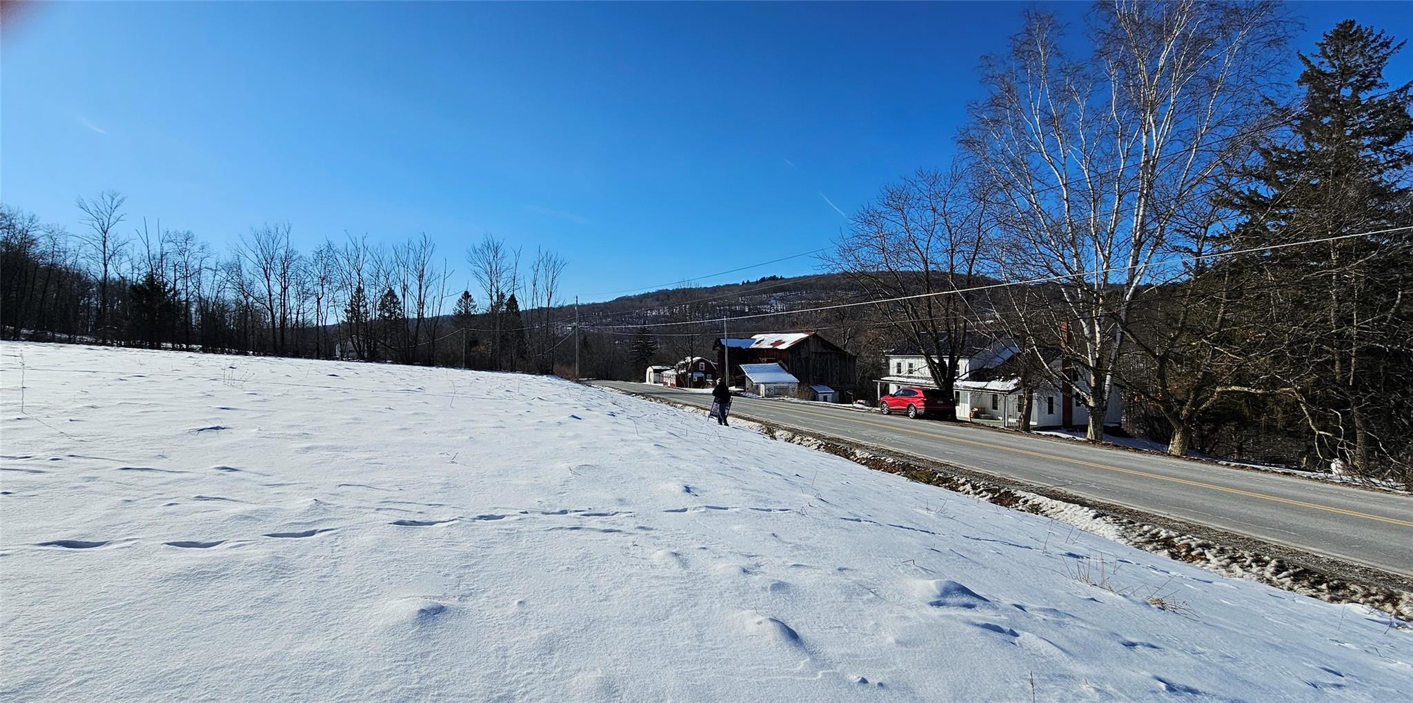 Lot 7.4 Hankins Road Fremont Center, NY 12736 - Photo 5 of 14 a view of street with covered with snow