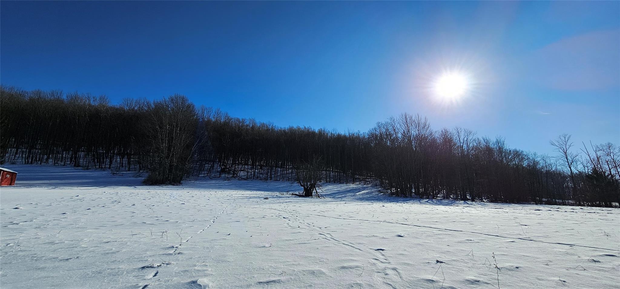 Lot 7.4 Hankins Road Fremont Center, NY 12736 - Photo 6 of 14 a view of outdoor space with mountain view
